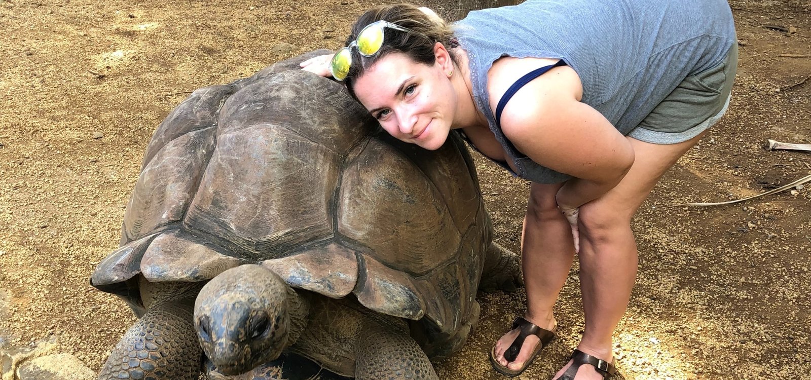 Mauritius Urlaub La Vanille Nature Park: Riesenschildkröte im Naturpark